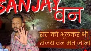sanjay van night vlog /