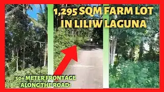 1295 Sqm Farm Lot in Liliw Laguna for Sale (Lot Code 23106)