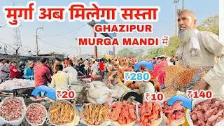 Ghazipur Murga Mandi Rate Today |मुर्गा फिर से सस्ता हुया?|Ghazipur Murga Mandi New Update |rrrm|