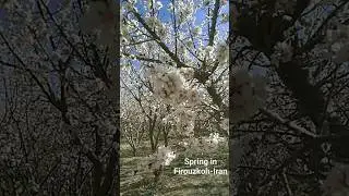 Spring in Firouzkoh-Iran.   #spring #firuzkooh #iran