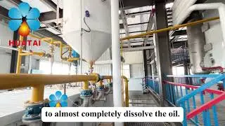 🎥 How is cooking oil made?From soybeans to finished oil🏭