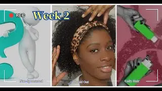 I Tried a Different Braid Out Product Every Week (Week 2)