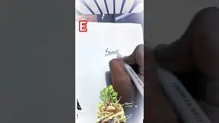 How to Make a Stylish E Signature ✍️ | Easy & Beautifulalphabet e #art