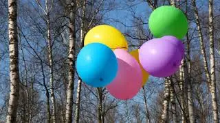 Balloons and Wild Sheep
