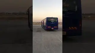 Indigo flight bus on runway #aeroplane #shorts #ytshorts #trending #viral #video #information