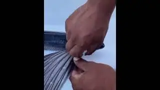 Amazing flying fish video
