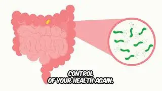 Gut Health Mini course bonuses