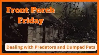 Dealing With Predators and Dumped Pets
