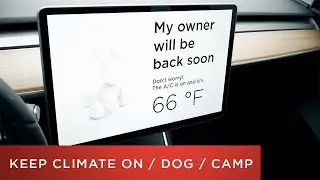 Tesla Model 3 Tutorial | Keep Climate On / Dog Mode / Camp Mode