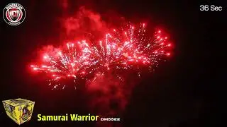 1.4G FIREWORKS: DM5522 SAMURAI WARRIOR