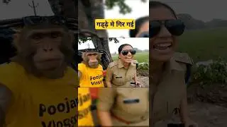 Sorry madam #monkeyvlog #comedy #funnyvlog #trending #desivlogger #monkey #desivlog #ai #veo3