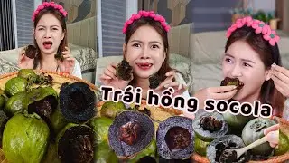 Trái Hồng Socola Có Vị Socola  Không ??? Mà Giá Mắc ĐIẾNG