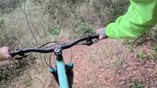 DOWNHILL VS DOG. 🐩📷 (MTB CON LOS PERROS).