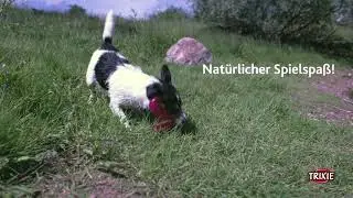 TRIXIE Heimtierbedarf - Bungee Boomerang Triplex Hundespielzeug
