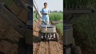 Precision Onion Farming: Single-Plant Transplant Sequence#farming #shorts #automobile