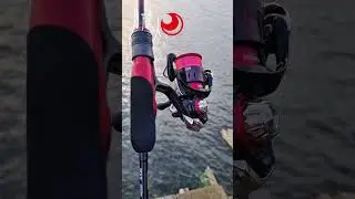 Conjunto de Ajing! Daiwa Gekkabijin Ajing Setup #ajing #ajingfishing #fishing #ultralightfishing