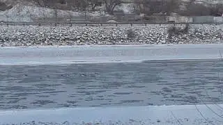 Diving Ducks. 0 degrees Fahrenheit. Yellowstone River.