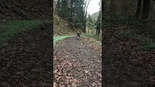 Hundetour im M&uuml;nstertal - Teil 2
