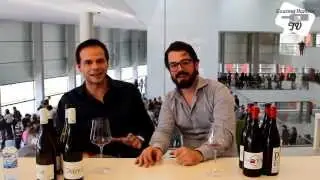 Bodegas Ponce en Manchuela presenta sus vinos de Bobal