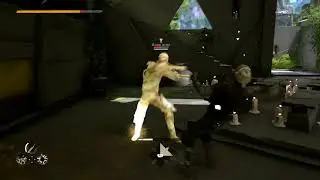 Absolver : Power in number vs Shoi