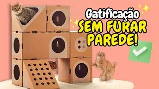 GATIFICA&Ccedil;&Atilde;O SEM FUROS NAS PAREDES! Ofere&ccedil;a Espa&ccedil;os VERTICAIS para os Gatos MESMO MORANDO DE ALUGUEL!