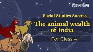 The animal wealth of India