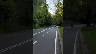 ЭТО ЗАПРЕЩЕНО?😱 Бешеный разгон на велодорожке! Mukuta Knight взрывает мозг 🤯