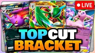 🔴 *LIVE* TOP CUT BRACKET - Official Tournament Stream | Pokemon TCG Pocket