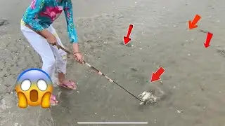 🦀 🏝️😲Beach Adventure: Found Many Crabs During Low Tide! ✨