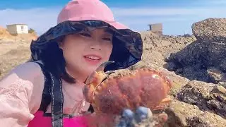 A large bread crab was found under the rocks, with two abalones growing on it!