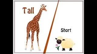Learning Tall and Short || Easy to learn Comparison for Kids || छोटा / लम्बा || TITU Learning