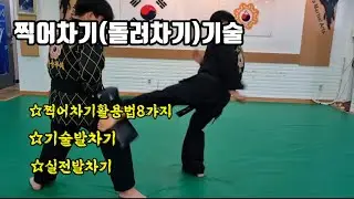 찍어차기(돌려차기)기술활용법 (korea martial arts)