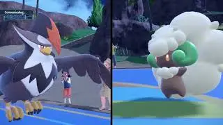 Watch Two Noobs Struggle in Pok&eacute;mon Battles (Part 1)