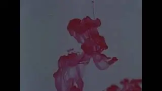 The Psychedelic Experience | 1965 Short film featuring Timothy Leary (Full cut with Improved Audio)