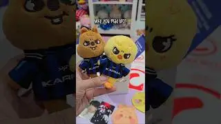 Stray Kids SKZOO Karma Album Unboxing. I grabbed the Not So Sunshine Twins. Why they so mad?!