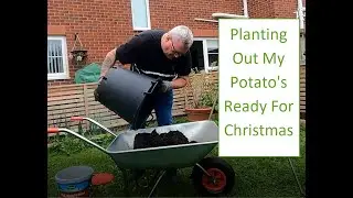 It's Time To Plant My Christmas Potato's