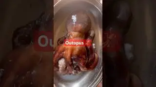 Outopus 8 per vali machli #fish #viral #food #shorts #shortvideos #nature#public #seafoodprep