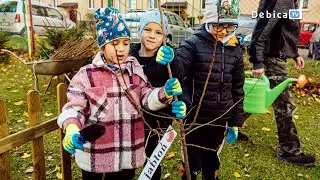 Mini-orchard, berry garden and herbarium in Dębica Kindergarten No. 2