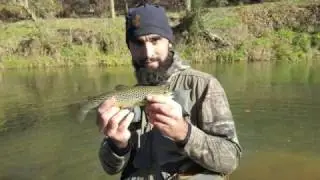 Fly Fishing Muddy Creek