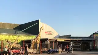 Walk through Jungle Jim's international Market.