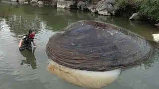 Giant clams were discovered by the river, nurturing agate like red pearls that are truly enchanting