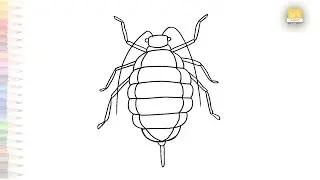 Flea insect drawing easy | Outline sketches | How to draw an Aphid step by step | #artjanag