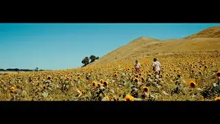 DIVA (Official Video)