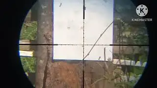 comet and silver streak pellet groupings