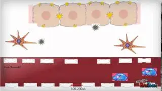 Polymer- and lipid-based nanoparticle therapeutics