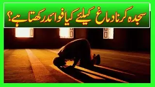 Scientific studies on the Islamic prostration, or Sajdah in Prayer - Fact