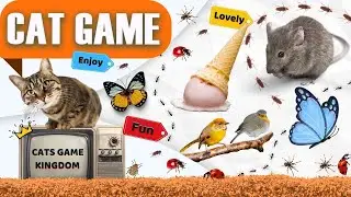 CAT GAMES - Mice, Bee, Ant, Butterflies - 3 Hours Game For Cats To Watch