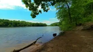 Lake Needwood 3D 180 VR Relaxation Video