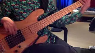 De Gier Custom Made 5 String Bass Demo (Active)