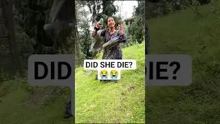 FUNNY EPIC FAILS!! 😭😂  #shorts #memes #fails #funnymoments